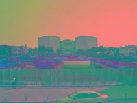 IMGP2708 edited (Medium)